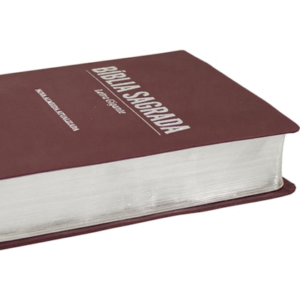 image_621a357a-2aad-4231-aa95-c2b7c5b3a381