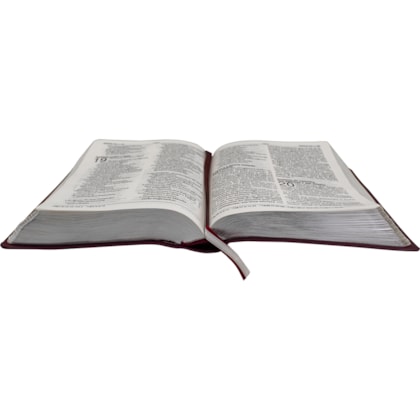 image_d3bfe529-59d6-44cc-84bc-2973bab24467