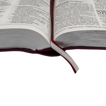 image_128be1dd-ccbd-4eed-abb9-464d64418580