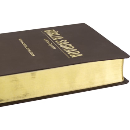 image_4a8005d7-8faa-41d2-bd31-6f08960a7379