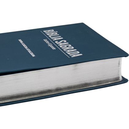 image_e26112d8-71b1-4d89-8e7d-0205d4a68cce