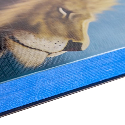 image_b88e57ea-cb8a-46e4-8ef5-cabe4e7a9931