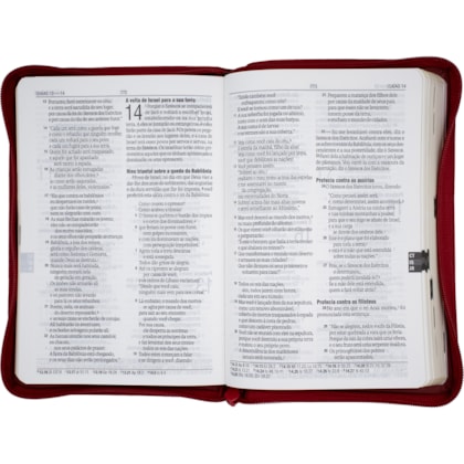 image_c13fdc3c-bc83-495c-a8d9-b3ad588f5c06