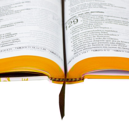 image_16fcc191-3bc3-4535-89d3-ab04d0c2433e