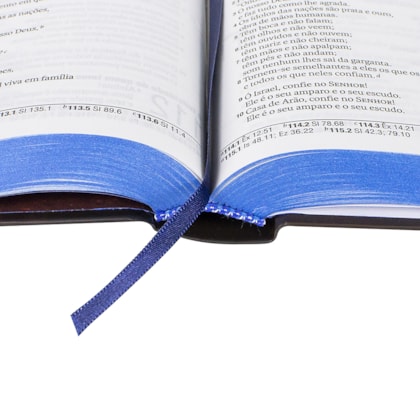 image_8f4037b2-ef03-4892-a824-f3d23b8dc660