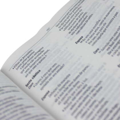 image_06a13e31-095d-44c8-b8ad-d2a4773da85a