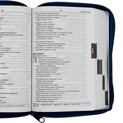 image_b484ad4e-06be-41c9-98e4-33ad894e7feb