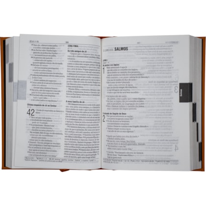 image_d09fc762-50dd-4cb9-a985-065db55645ed