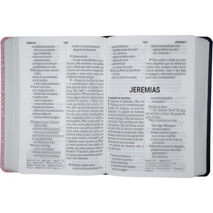 image_3bea7b9d-58db-47b5-9946-654dbb4b65fc