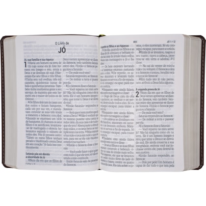 image_cbd638d7-6a59-47c9-a372-ce22950a11e0