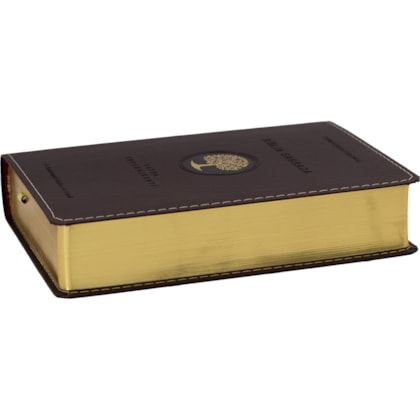 image_512e4cff-2dd6-487a-9847-a64ef205bf7e