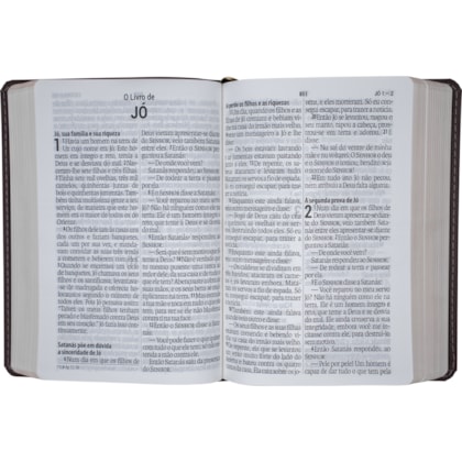 image_656ca4cf-bb55-457f-9d16-c5c03c7d8465