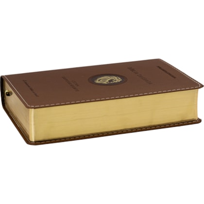 image_60e7663f-8a56-43b3-8664-3a0d2ed31c8e