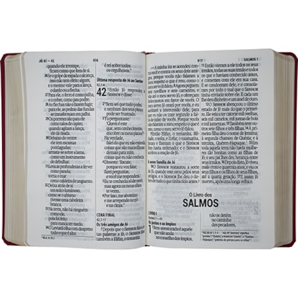 image_9927b2c2-8914-452a-8133-c71e3b214896