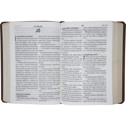 image_46c0a8e3-c7ec-49f4-b919-8bb4c1b5c8ec