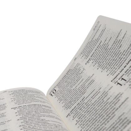 image_e88f1591-3b1e-4d63-aace-e54d48c64be5