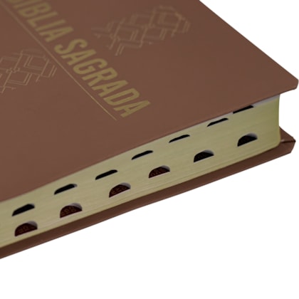 image_f2a46849-860b-4dcd-8074-26256476d3e2