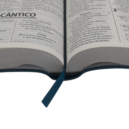 image_eac7e118-975a-4fd4-b01c-6b157e952c83