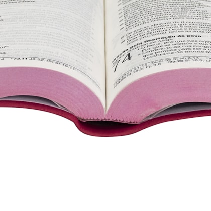 image_04f88448-8a3d-4809-8bc8-92c21180d000