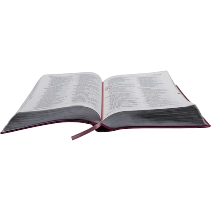 image_d9ce3da9-05bc-4561-877e-eba2118d46f8