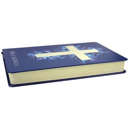 image_b91905a3-aa4c-44f7-b19d-3f62329e1756