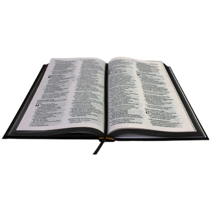 image_460ab550-e3ca-4b56-9fa8-a7fbc536be87