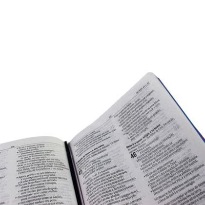 image_ca07c4c3-0bf4-4b7e-bed8-9e1e4a8030b4