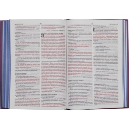 image_828a3d8e-a9f1-444d-b877-a7c59a2d29d7