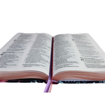 image_4642626a-645c-4e23-b4e5-6e01379c4034