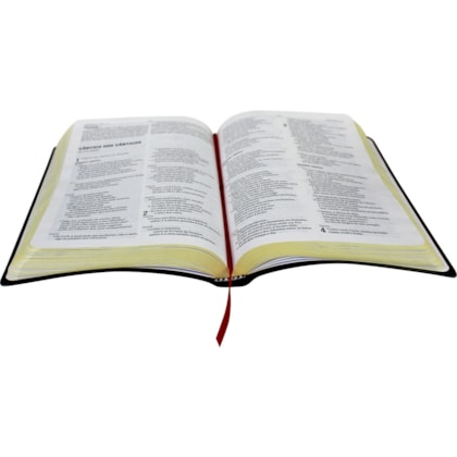 image_e176f7d4-fce3-4bf4-b240-644d1f72f8c3