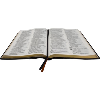 image_517d6c78-54e1-4d9a-8d46-a6ae9e07cfc8