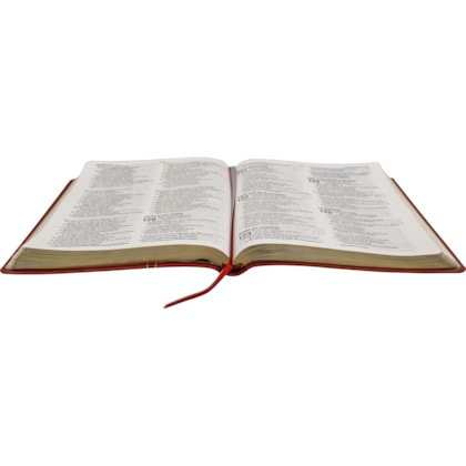 image_9c0327a0-cee6-4848-b7e5-21dd03649262