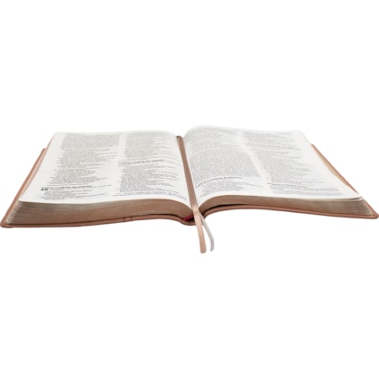 image_959e6988-7b8b-44c5-a9d5-5a43da663b8e