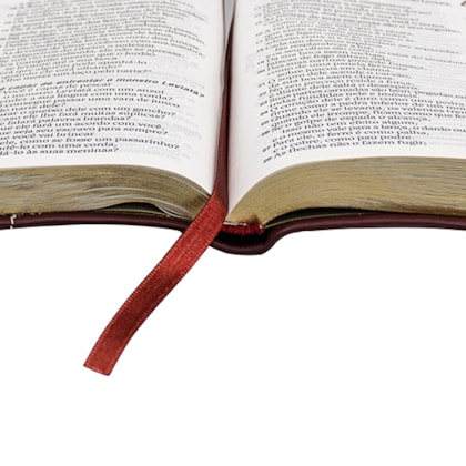 image_32ab5e55-cbb8-4f9a-a884-2c7b8bed400a