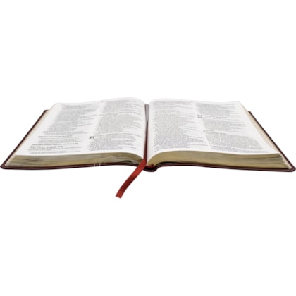 image_36e85eb8-49db-4cc3-894a-8707be630d7a