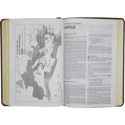 image_260cdd42-7815-4401-9429-f53340bbd9d8