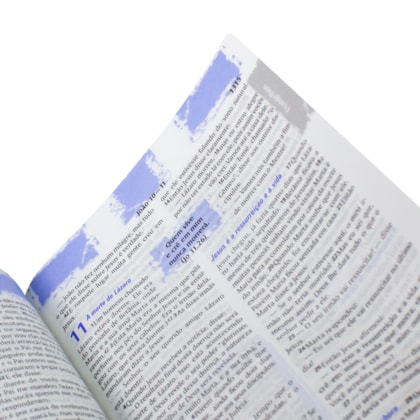 image_9a81c981-25e7-423e-81d9-3e96b8927800