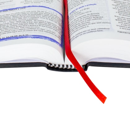 image_39545eba-5ca0-4c6d-8cb7-5b71ef2af2b4