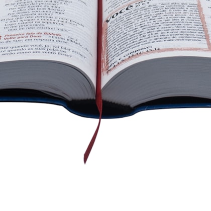 image_434437ac-f378-4d54-9c37-af844eb8ae77