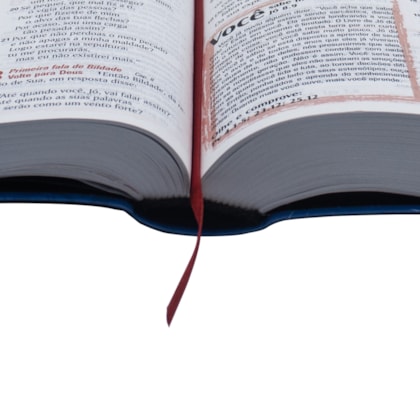 image_9178381c-d51b-4b50-9942-b6aeeca97894