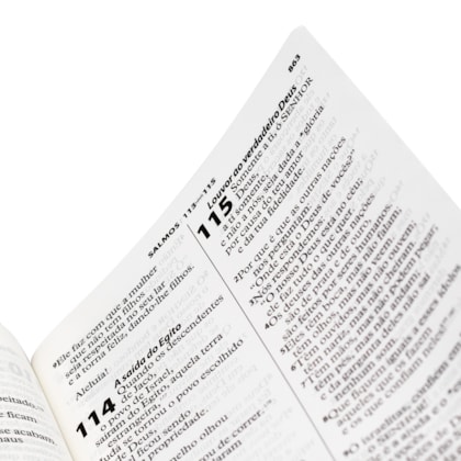 image_d0eba8f1-1333-4bf9-8879-d205aa4bdf6d