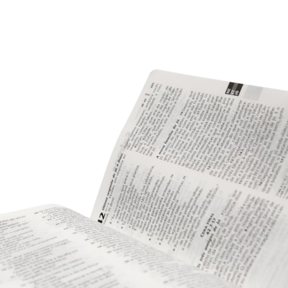 image_fbea9817-ece7-45bf-bc0b-31af8d7eb24a