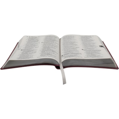 image_40a06f54-cd0f-4652-a421-88fc20f5beb8