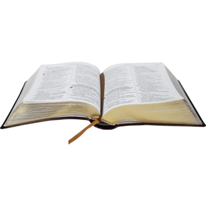 image_d8c02b40-e44e-44a5-8999-bc4ff8dac733