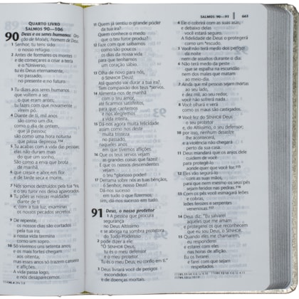 image_10725f51-eebd-45f5-b661-a65f9c970e02