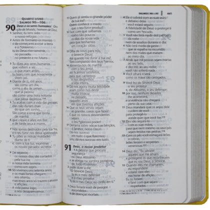 image_aa08d66d-41c2-486c-a02c-6b75ffd3420d