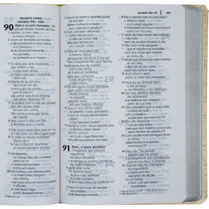 image_4ca4528e-8b32-44d1-880f-fe1d3360bfd6