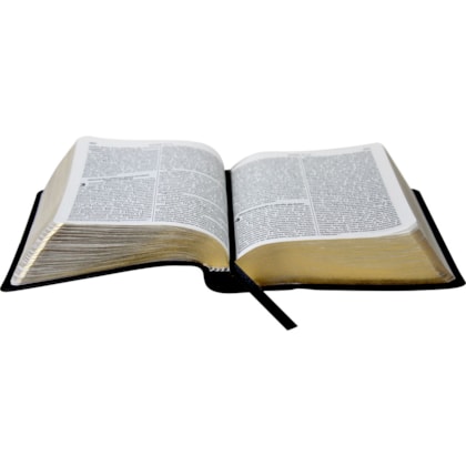 image_59e6bab6-0452-41db-b5f6-416c122ff7f0