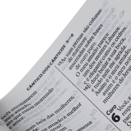 image_6f626004-1aa1-4069-966f-fb7c771381f4