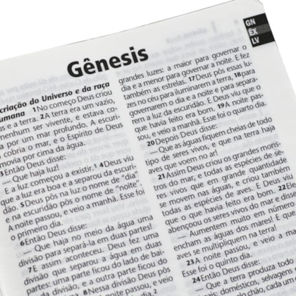 image_5709d8eb-a79f-49b4-aa78-325d67076ed6